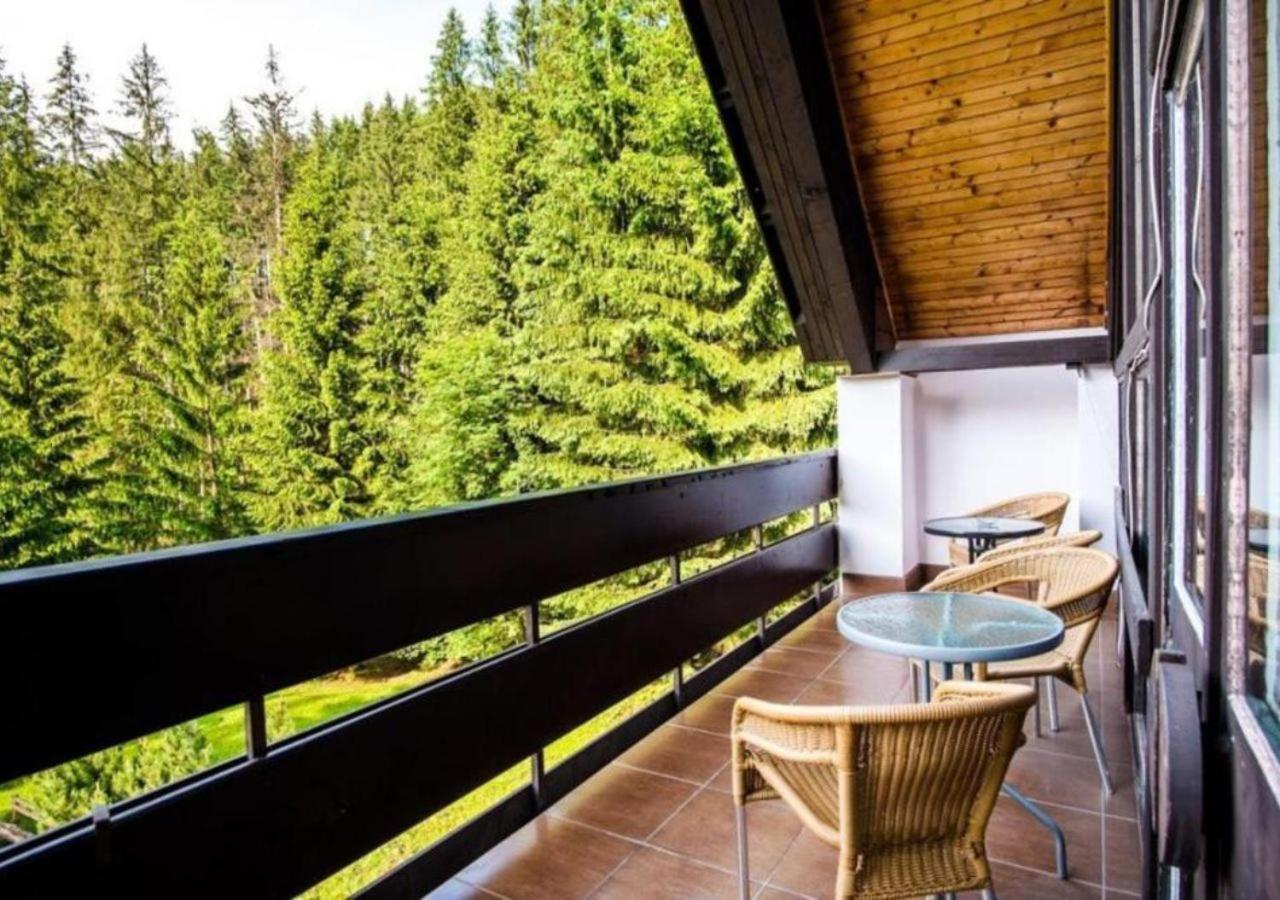Hotel Ski 2*